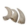 Water Buffalo Horn Core-Horn Inner Part-100% Natural;  High Protein;  Long-Lasting;  Grain-Free;  Gluten-Free;  Low-Fat;  Dog Dental Treats & Chews-2