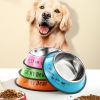 Stainless steel dog bowl; color anti-skid dog bowl; cat bowl